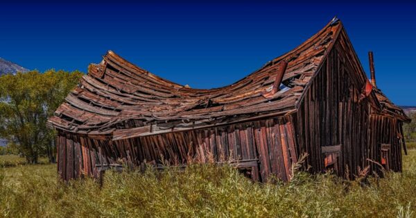 Eastern Sierra Workshop Oct 2025 - Image 4